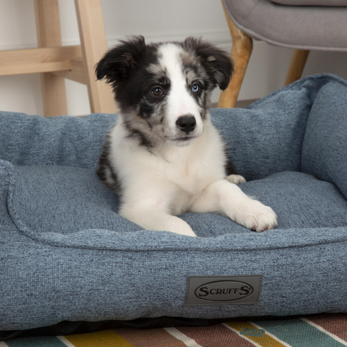 Visuel 6 du produit Corbeille pour chien bleu Manhattan Scruffs – Taille M
