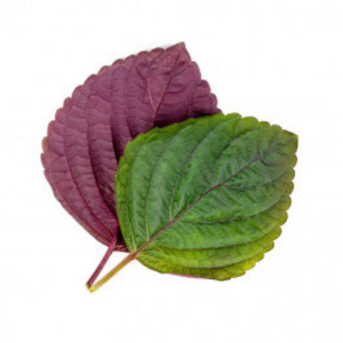 Visuel 2 du produit Lingot® Shiso bicolore pour potager Véritable