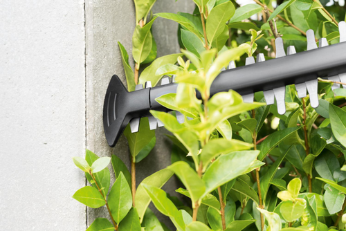 Visuel 6 du produit Taille haies sans fil Advancedhedgecut Bosch® - 18 V