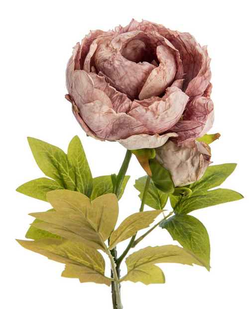 Visuel 2 du produit Fleur artificielle en papier tige de pivoine coloris rose - H 62 cm