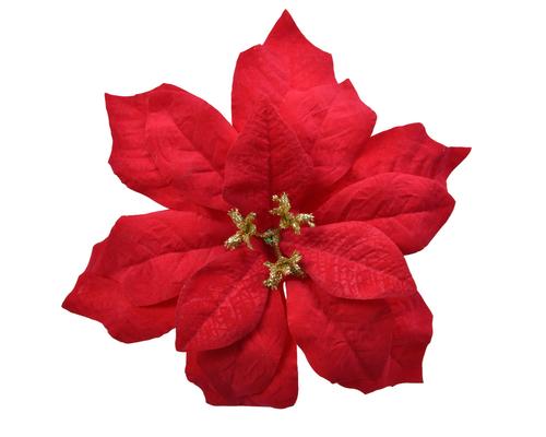 Visuel 1 du produit Poinsettia en velours rouge sur clip - Ø 16 cm