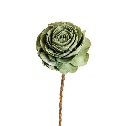 Visuel 4 du produit Fleur en bois de Sola et coco forme Rose - Ø 8 x H 52 cm