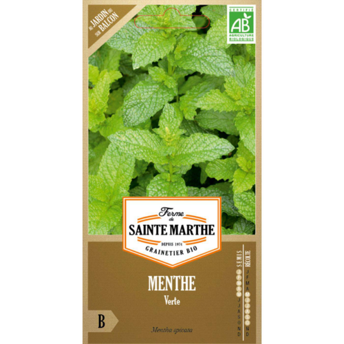 Visuel 1 du produit Sachets de graines de menthe verte bio - 500 graines