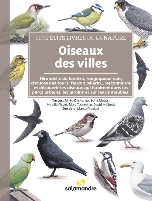 Visuel 1 du produit Livre "Oiseaux des villes" collection Les petits livres de la nature aux Éditions Salamandre