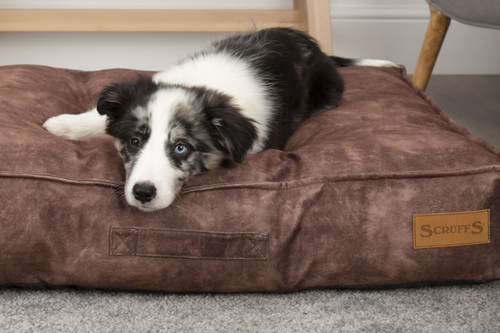 Visuel 4 du produit Coussin pour chien marron Kensington – Taille L