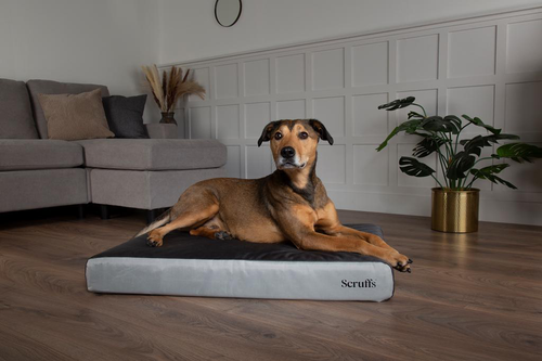 Visuel 6 du produit Couchage orthopédique pour chien coloris gris Scruffs ArmourDillo Orthopaedic - Taille XL 116 x 75 x 15 cm
