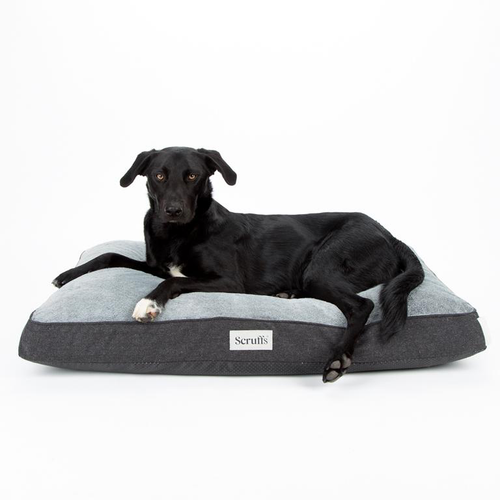 Visuel 5 du produit Couchage orthopédique pour chien coloris gris Scruffs Harvard - Taille L 100 x 70 x 12 cm
