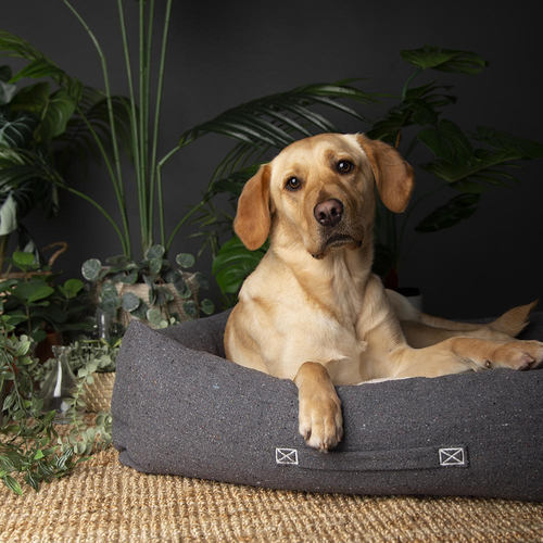 Visuel 4 du produit Couchage pour chien coloris gris corbeille Scruffs Eco Eden - Taille L 75 x 60 cm