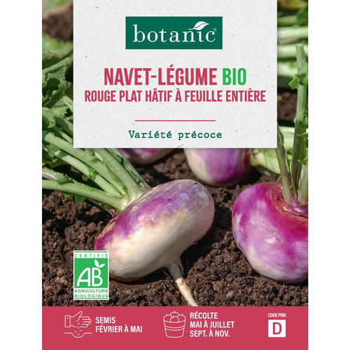 Visuel 1 du produit Graines de navet rouge plat hâtif à feuille entière bio botanic® - graines à semer