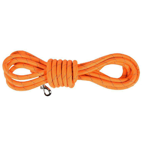 Visuel 1 du produit Laisse pour chien en nylon rond coloris orange Bobby Walk - 3 m