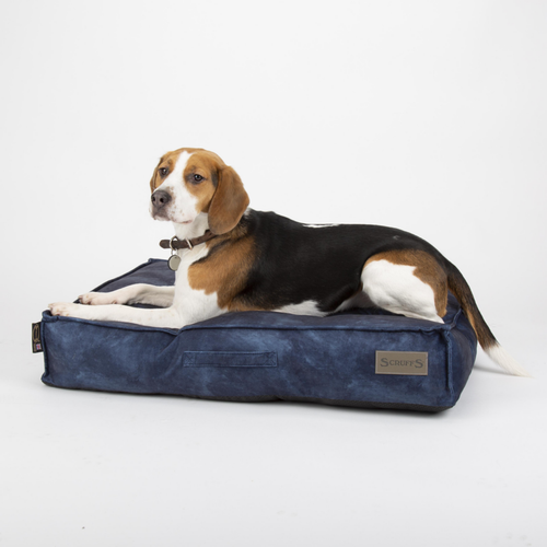 Visuel 3 du produit Coussin pour chien bleu Kensington – Taille M