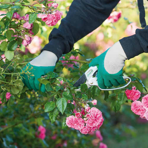Visuel 3 du produit Gants de jardinage pour rosiers Vert clair