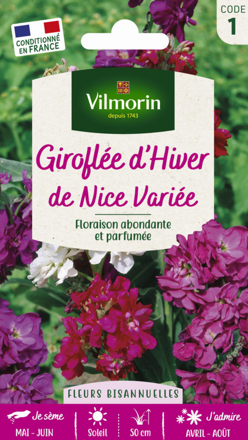 Visuel 1 du produit Graines de Giroflée d’hiver de Nice variée Vilmorin - graines à semer