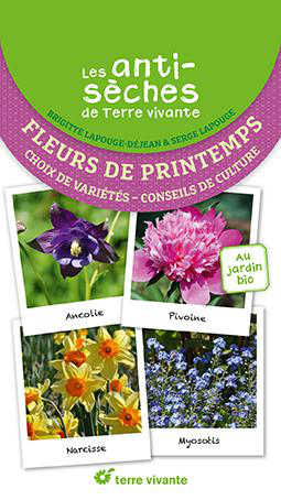 Visuel 1 du produit Livre "Les antisèches : fleurs de Printemps" Éditions Terre Vivante
