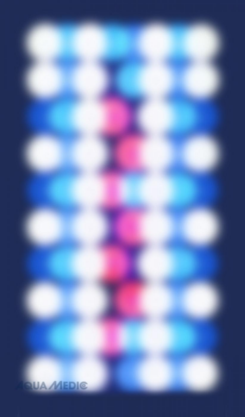 Visuel 4 du produit Rampe LED Wi-Fi pour aquarium marin, AQUA MEDIC Aquarius 60 Plus - 60cm