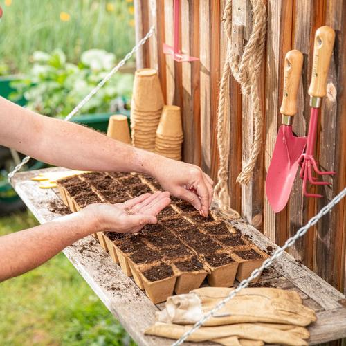 Visuel 7 du produit Lot d'outils à main pour le jardin coloris clafoutis (transplantoir, serfouette, griffe) botanic® - 3 outils