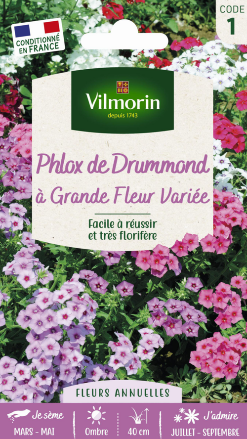 Visuel 1 du produit Graines de Phlox de Drummond à grande fleur variée Vilmorin - graines à semer