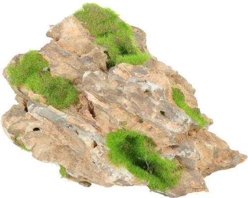 Visuel 1 du produit Pierre dorée avec plante aquatique pour aquarium Zolux yellow stone « ki pousse » M