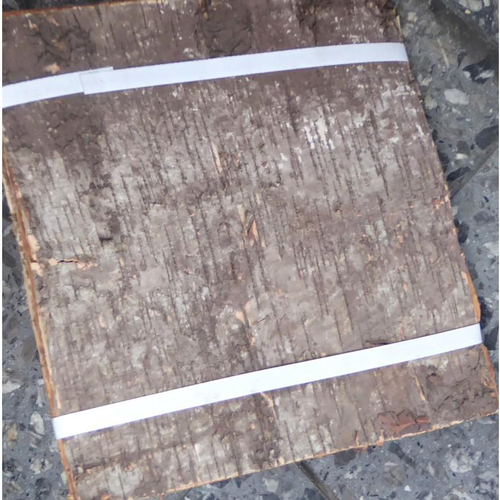 Visuel 1 du produit Plaques d'écorces de bouleau - Le paquet de 10