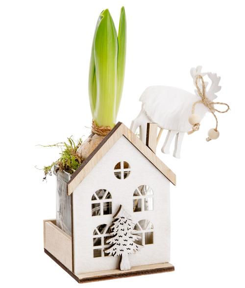 Visuel 1 du produit Jacinthe blanche. Le pot Ø 7,5 x 13 cm en bois et feutrine.