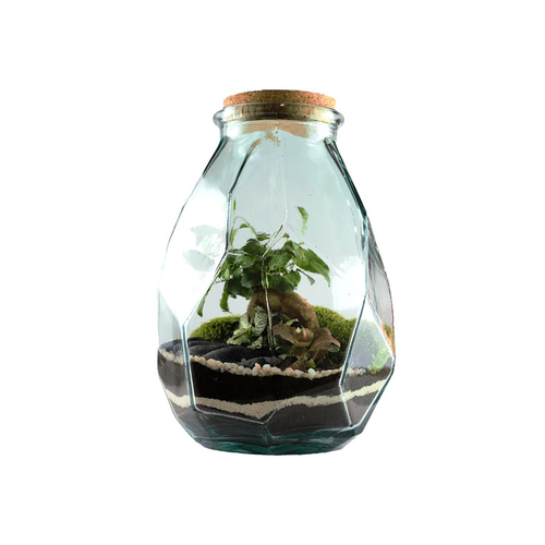 Visuel 1 du produit Terrarium autonome Origami L botanic® - Ø 22 x 37 cm