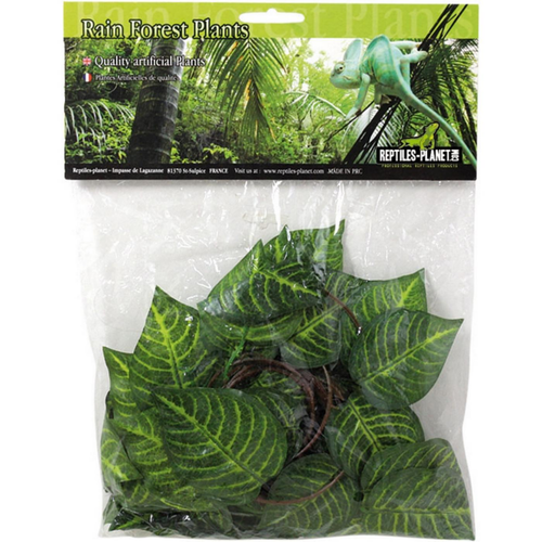 Visuel 1 du produit Plantes artificielles pour terrarium en soie coloris vert Reptile Planet Cruise Jungle Vine - 2,6 M