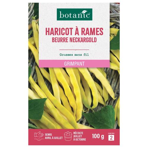 Visuel 1 du produit Graines de haricot à rames neckargold botanic® - graines à semer