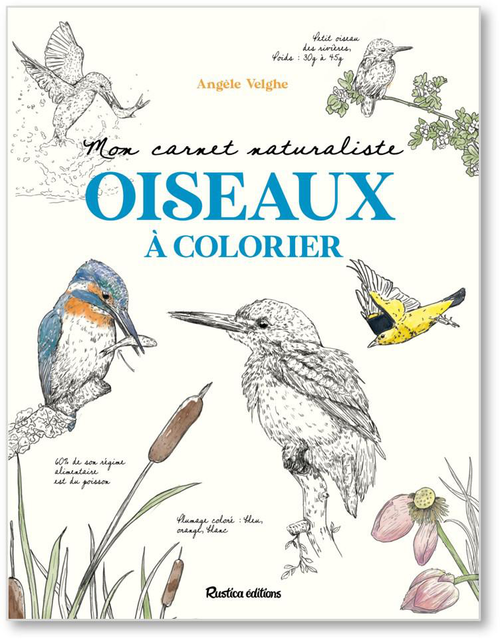 Visuel 1 du produit Carnet "Mon carnet naturaliste Oiseaux à colorier" Éditions Rustica