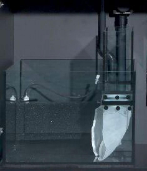 Visuel 1 du produit Kit d'upgrade aquarium, décantation intégrée RED SEA AQUARIUM Max E 170