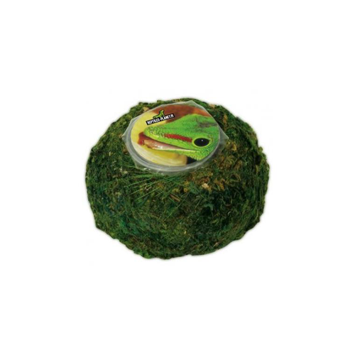 Visuel 1 du produit Support pour Vita Jelly coloris vert Reptile Planet Repti Moss Ball - 7,5 x 7,5 x 5 cm