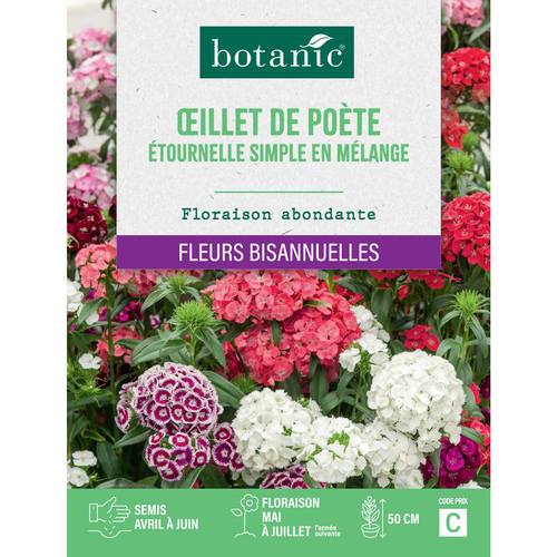 Visuel 1 du produit Graines de fleurs d'Œillet de poète étournelle simple en mélange botanic®