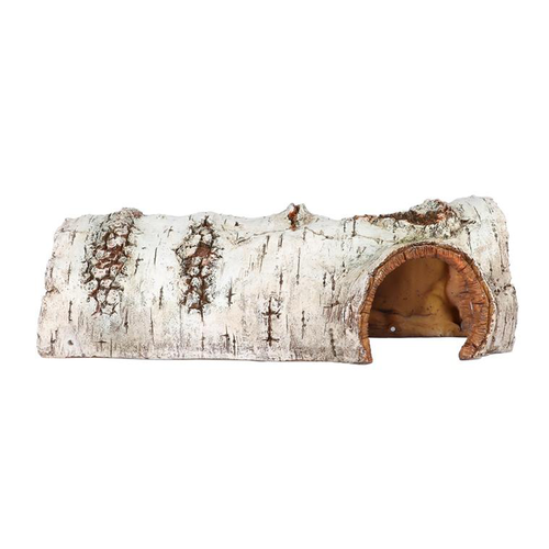 Visuel 1 du produit Décor aquarium della burk l coloris multicolore en résine de polyester - 5 x 13,7 x 88 cm