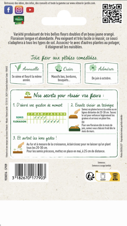 Visuel 2 du produit Souci Nain Fiesta Gitana Vilmorin - graines à semer