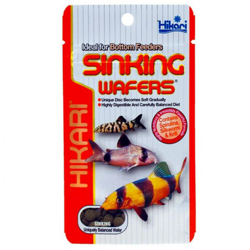 Visuel 1 du produit Nourriture pour poissons d'aquarium, wafers coulants, HIKARI AQUARIUM, modèle Sinking - 110g