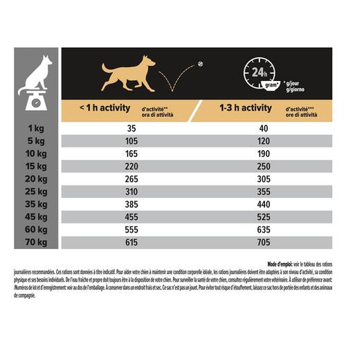 Visuel 3 du produit Croquettes pour chien chien adulte taille moyenne Proplan - 16,5 kg