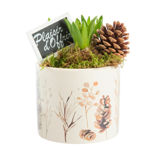 Visuel 1 du produit Jacinthe x 3 pot céramique décor sous-bois - Ø 12 cm