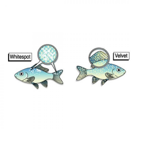 Visuel 2 du produit Traitement points blancs et du velours, ESHA Exit - contenance 20ml