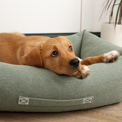 Visuel 3 du produit Couchage pour chien coloris vert corbeille Scruffs Eco Eden - Taille M 60 x 50 cm