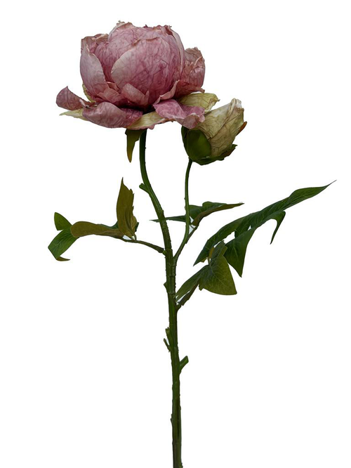 Visuel 1 du produit Fleur artificielle en papier tige de pivoine coloris violet - H 62 cm