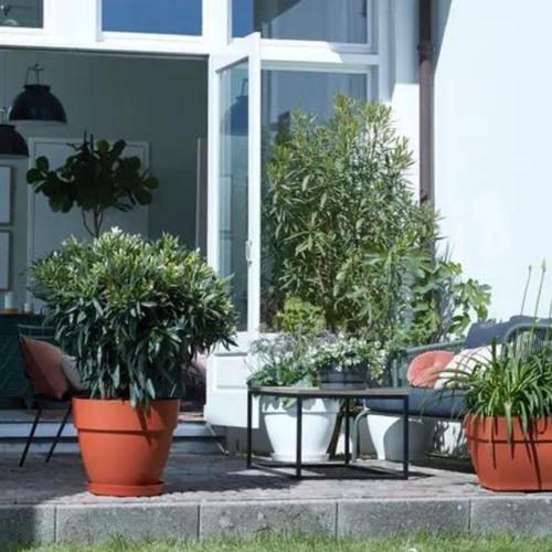 Visuel 7 du produit Coupe vibia campana Elho de 5,7 L coloris noir Ø 27 x H 14 cm