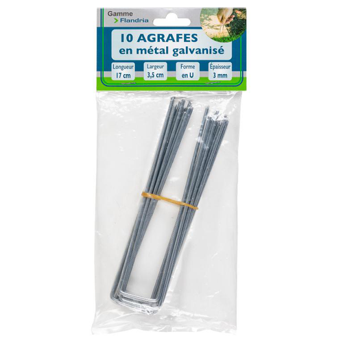 Visuel 1 du produit Agrafe galvanisée petit format coloris gris