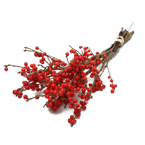 Visuel 1 du produit Botte de houx d’ilex Verticilta coloris rouge – 5 tiges