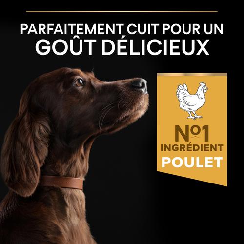 Visuel 4 du produit Croquettes pour chien adulte Large athletic Pro Plan - 14 kg + 2,5 kg