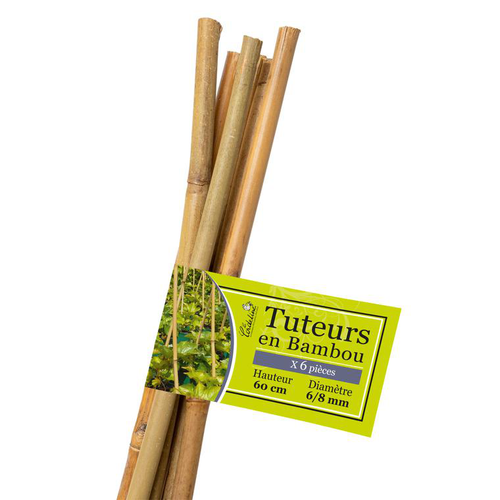 Visuel 1 du produit Lot de 6 tuteurs coloris bois en bambou - 60 cm