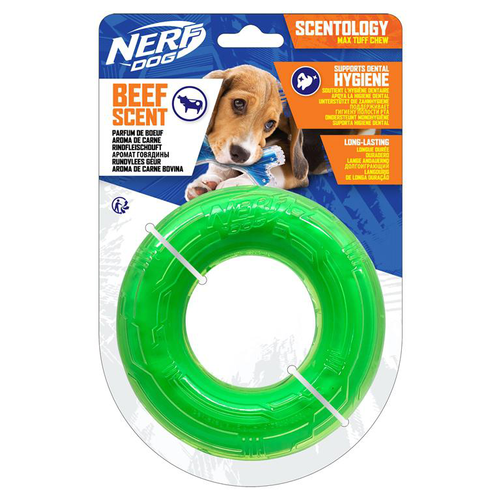 Visuel 1 du produit Jouet à mâcher pour chien coloris vert goût bœuf anneau hygiène dentaire Nerf - Taille S