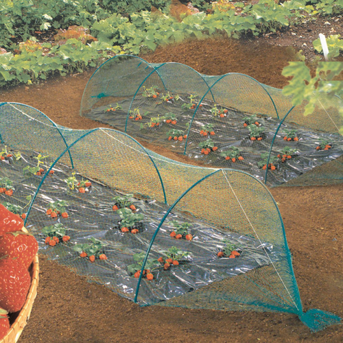 Visuel 2 du produit Filet de protection anti-oiseaux coloris Birdnet Nortène - 2 x 10 m