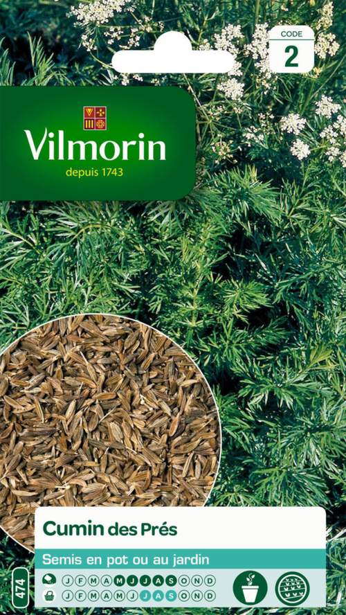 Visuel 1 du produit Cumin des Près Vilmorin - graines à semer