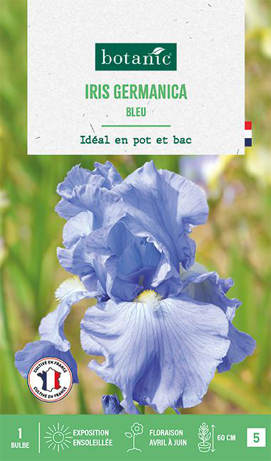 Visuel 1 du produit Bulbe de fleurs Iris Germanica bleu botanic® - 1 bulbe