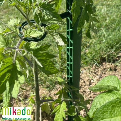 Visuel 6 du produit Tuteur à tomate avec 4 attaches coloris vert  - 180 cm