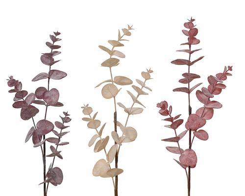 Visuel 1 du produit Tige artificielle d'eucalyptus brillante - 8 x 8 x 69 cm